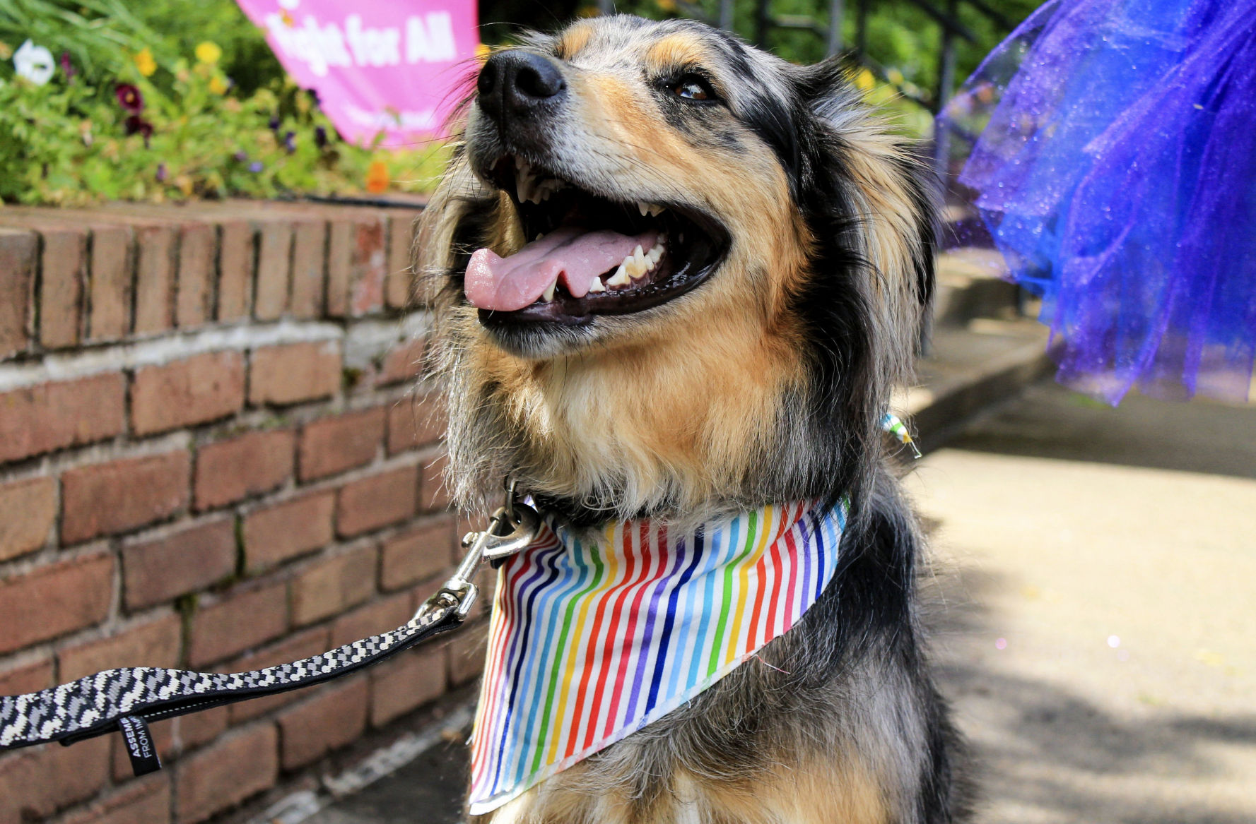 pride4.jpg